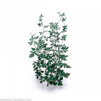 S-245 Ветви малины , размер L