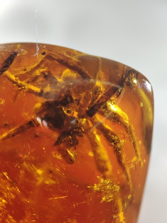 AAM0017 Янтарь с инклюзом «Тройная редкость»