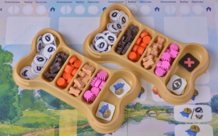 915537HW Прогулки с собаками