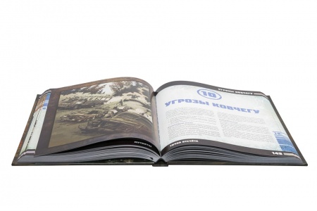 26089ST Мутанты: Точка отсчёта