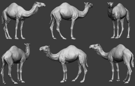 CHM-54248. Животные: Верблюд. 54 мм. Материал - смола. Chronos Miniatures