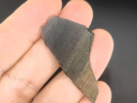 AAM0030 Окаменелое дерево с замещением опалом, Приморье