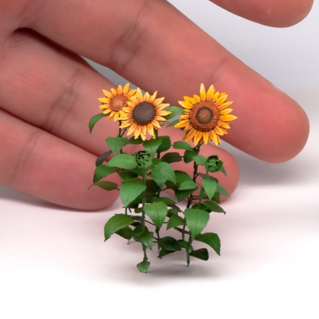 S162MWP Подсолнухи, размер M