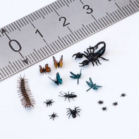 S-243 Насекомые, размер L