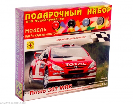 ПН604310 Автомобиль Пежо 307 WRC (1:43) Моделист