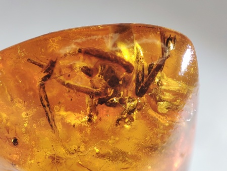 AAM0017 Янтарь с инклюзом «Тройная редкость»