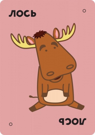 915712HW Тако, кот, коза, сыр, пицца Обратная сторона 915712HW Тако, кот, коза, сыр, пицца Обратная сторона