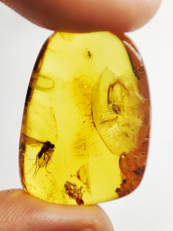 AAM0015 Янтарь с многочисленными инклюзами  «Муха Зеленуха»