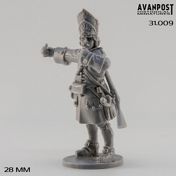 31.009АП Гренадёр