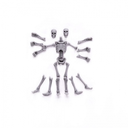 S205MWP Скелеты, размер S, 2шт MiniWarPaint
