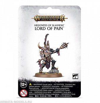 83-87GW Набор Гедонисты Слаанеш. Владыка Боли (Hedonites of Slaanesh Lord of Pain) 83-87GW Набор Гедонисты Слаанеш. Владыка Боли (Hedonites of Slaanesh Lord of Pain)