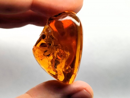 AAM0021 Эксклюзивный янтарь с музейным инклюзом «Москито». Гигантский комар-долгоножка. 3 см.