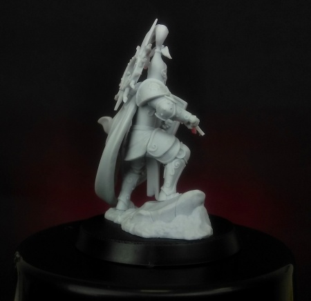 BCK-WG-025 Капитан | Игровая миниатюра 32 мм Blood Carrot Knights