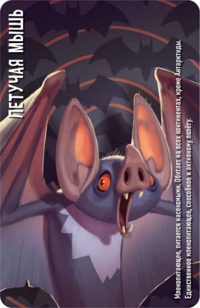 915593HW Similo Зоопарк