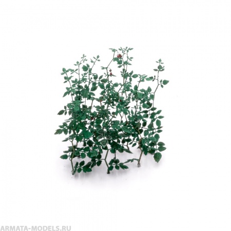 S-244 Ветви малины , размер М