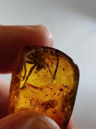 AAM0017 Янтарь с инклюзом «Тройная редкость»