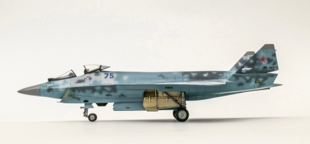 SR-AR721 Легкий тактический самолет «Шах и Мат» Sarmat Resin