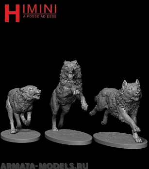 HI-75-017 Волки