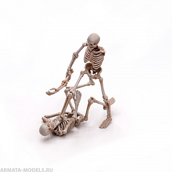 S206MWP Скелет, размер M