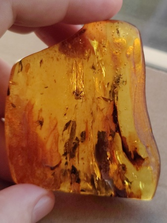 AAM0012 Янтарь с многочисленными инклюзами Охотничье угодье. 43 грамма! 