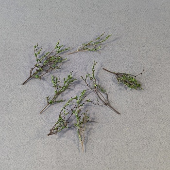 НЕ-35069 Ветки маскировочные 5шт