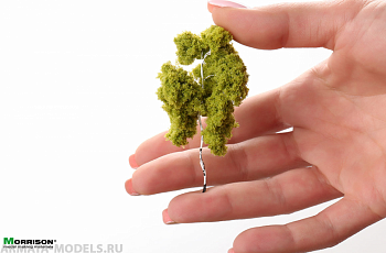011dam002 Берёза для архитектурного макета. 5 - 8 см.