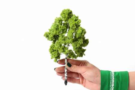 001pp003 Фолиаж. Берёзовая листва