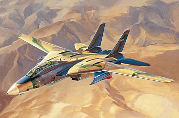 81771HB Сборная модель Палубный истребитель IRIAF Persian Cat F-14A Tomcat