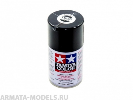 85055T TS-55 Dark Blue спрей 100мл