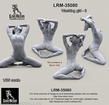 LRM35080 Мойщица техники