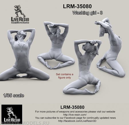 LRM35080 Мойщица техники