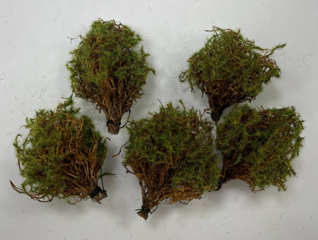 35020/5 Кусты лето 5шт.   Вар.4  (еловые)