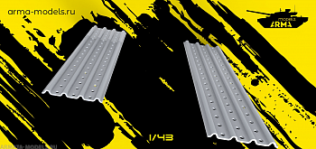 AM4310 Сэндтраки