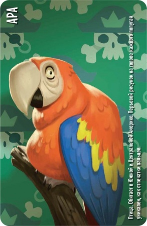 915593HW Similo Зоопарк