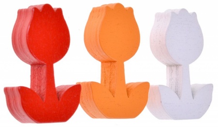 915511HW Тюльпаномания