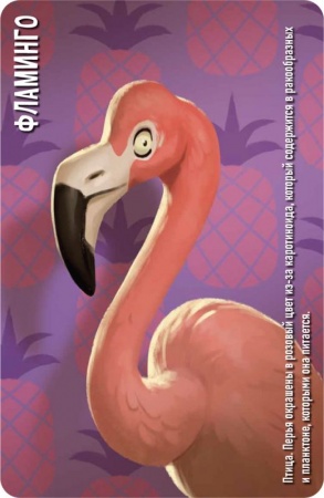 915593HW Similo Зоопарк