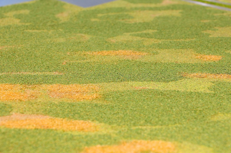 002op002 Имитация травы для макета «Дымчатая трава» 002op002 Имитация травы для макета «Дымчатая трава»