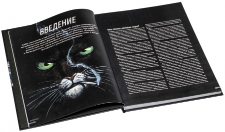 STNBSD02ST Блэксэд: НРИ