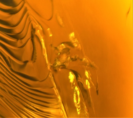 AAM0010 Янтарь с многочисленными инклюзами «Микромир». 2 комара, муха, 6(!) клещей в шикарном камне.