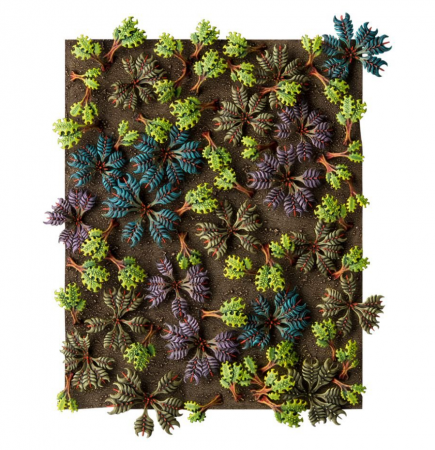 64-52GW Колючий папоротник Citadel (Citadel Barbed Bracken)