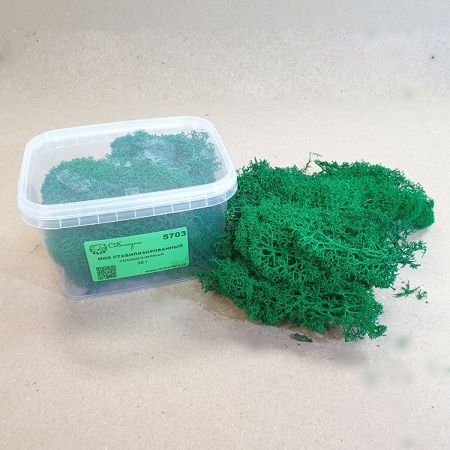 5703 мох стабилизированный - 30 г - изумрудно-зеленый