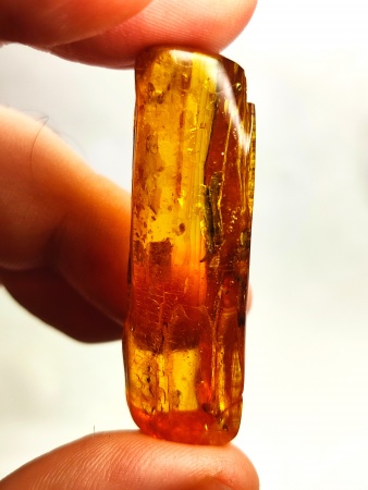 AAM0019 Янтарь с инклюзом "Два листика"