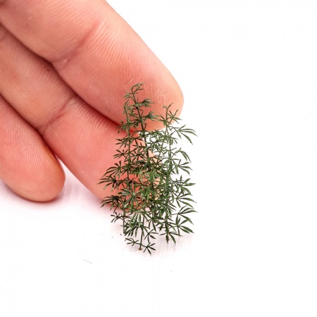 S269MWP Конопля, размер M