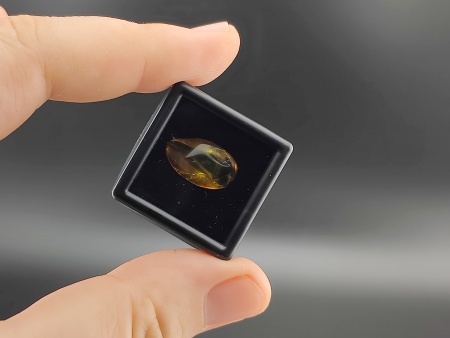 AAM0025 Янтарь с инклюзом Коллекция на ладони