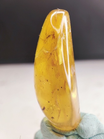 AAM0016 Янтарь с инклюзами «Термит»