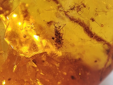 AAM0017 Янтарь с инклюзом «Тройная редкость»