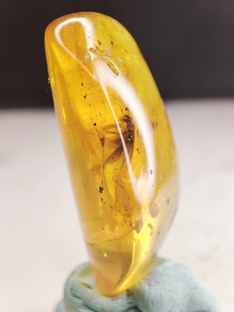 AAM0016 Янтарь с инклюзами «Термит»