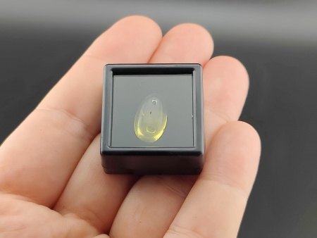 AAM0025 Янтарь с инклюзом Коллекция на ладони