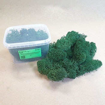 5701 мох стабилизированный - 30 г - насыщенный оливково-зеленый