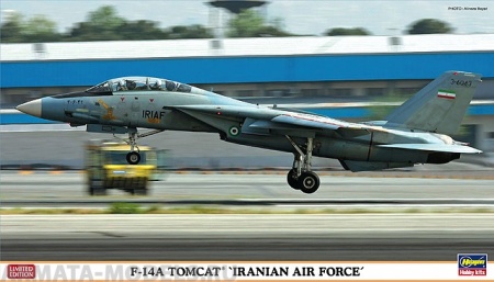 02006  Самолет F-14A TOMCAT IRANIAN AIR FORCE Hasegawa
